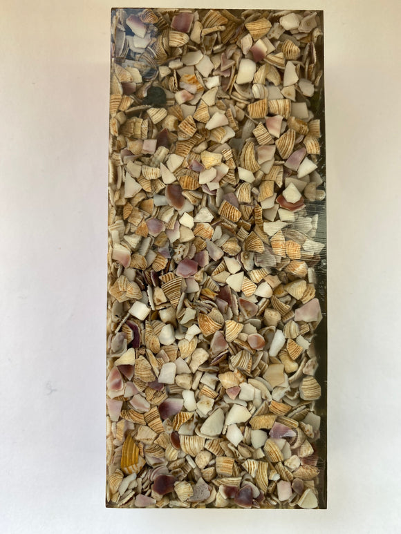 Seashell 129 x 56 x 29,5 mm