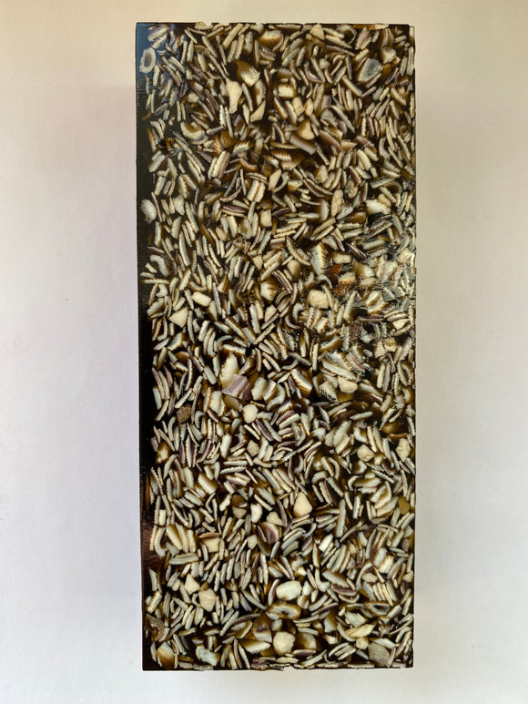 Seashell 129,5 x 55 x 28,5 mm