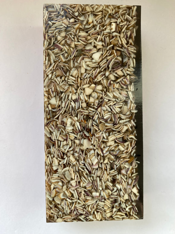 Seashell 128 x 58 x 29 mm