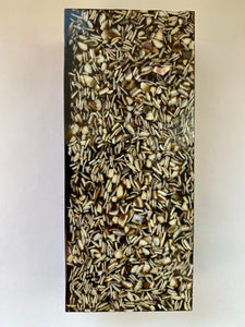 Seashell 129,5 x 55 x 31 mm
