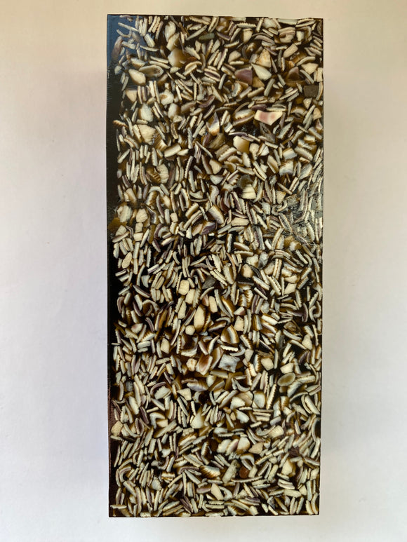 Seashell 129,5 x 55 x 31 mm