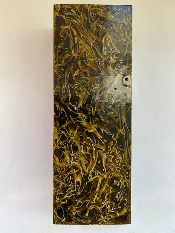 Lichen 116,5 x 41 x 28 mm