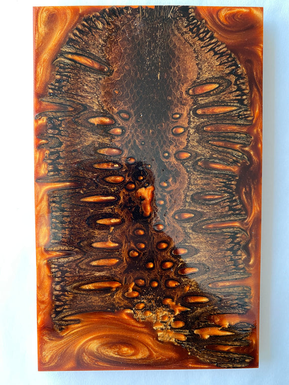 160 x 99,5 x 10 mm
