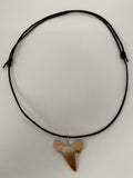 Collier dent de requin fossile