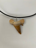 Collier dent de requin fossile