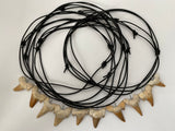 Collier dent de requin fossile