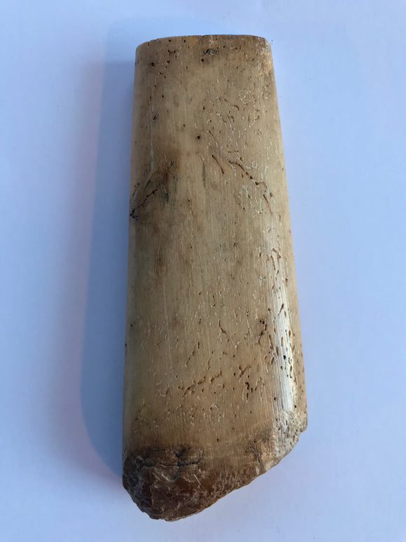 111 x (31 x 13) x (pointe naturelle : 43 x 21) mm
