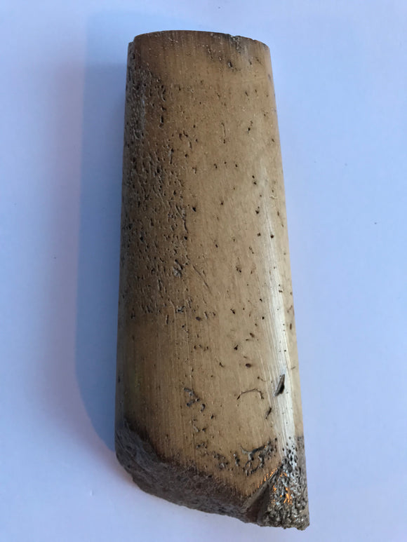 117 x (34x17) x (Pointe naturelle : 46x21) mm
