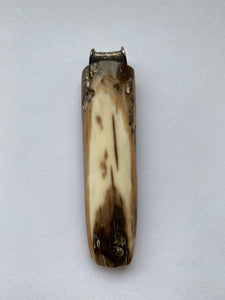 Fossiler Walross-Stoßzahn-Anhänger