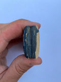 81 to 84,5 x 34 to 37,5 x 9,5 to 10 mm