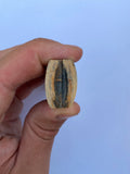91 x 26,5 to 28 x 8 to 9,5 mm