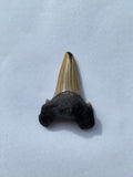 44 x 32 mm