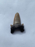 44 x 30 mm