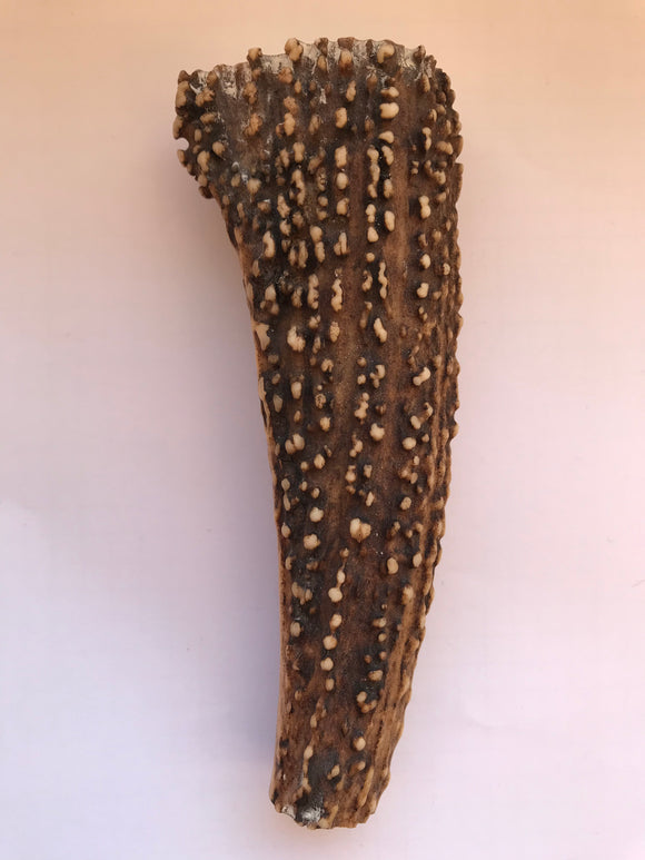 113 × (41x26) × (19x16) mm