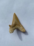 42 x 30 mm
