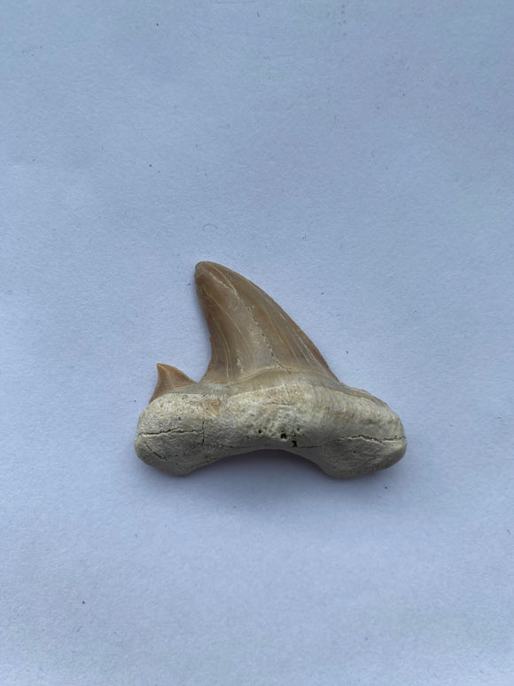 35 x 42 mm