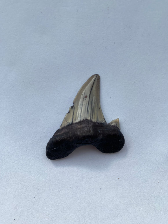 35 x 34 mm
