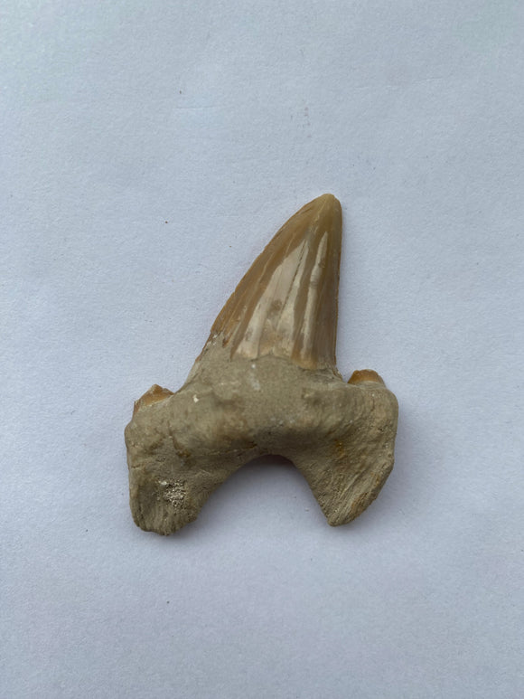50 x 40 mm