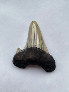 52 x 46 mm