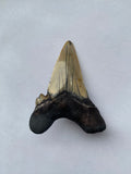 53 x 40 mm